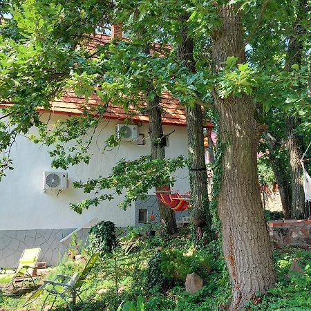 Szepiheno Villa Balatonszepezd Dış mekan fotoğraf